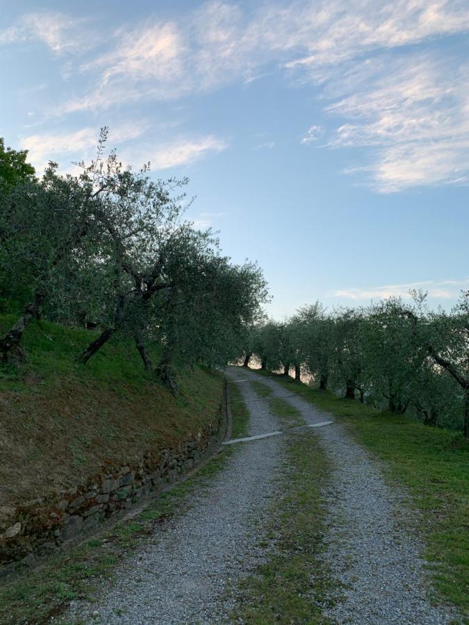 Marziani Rustic Tuscan House Capannori Exteriör bild